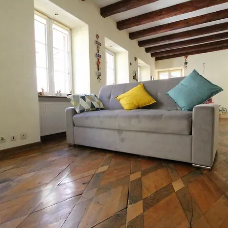 Historic Center - Au Buisson De Roses - Bookingalsace Appartement Colmar